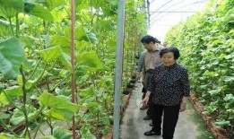 娱乐圈吃瓜代号蜜蜂是谁