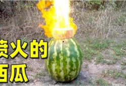 热门大瓜,热门大瓜背后的惊人真相